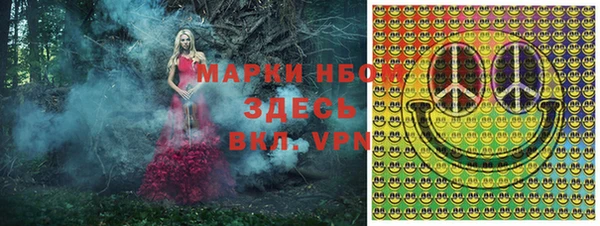 ALPHA PVP Гусев