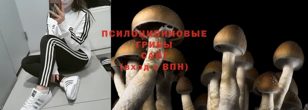 2c-b Гусь-Хрустальный