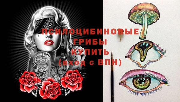 дживик Снежногорск