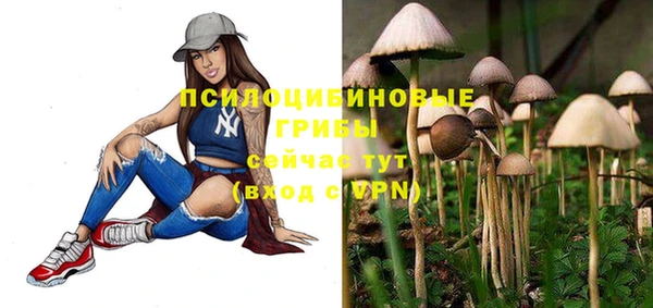ALPHA PVP Гусев