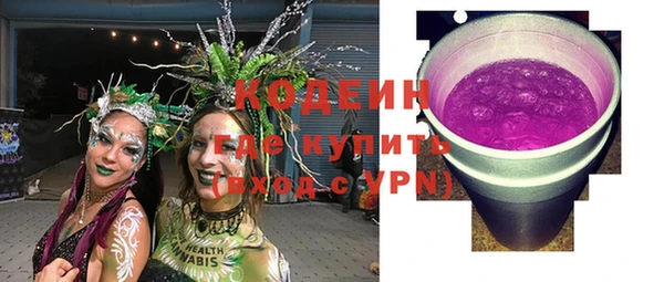 дживик Снежногорск