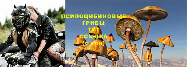 дживик Снежногорск