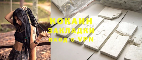 дживик Снежногорск