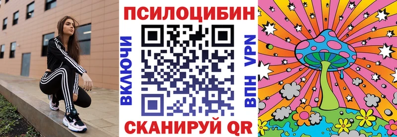 Псилоцибиновые грибы прущие грибы  Севск 
